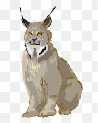 Lynx Clipart Png Image - Clipart Lynx,Lynx Png
