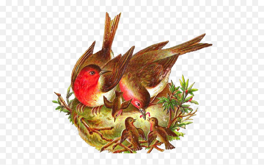 Birds Nest Clipart Victorian Bird - Bird With Nest Png,Bird Nest Png