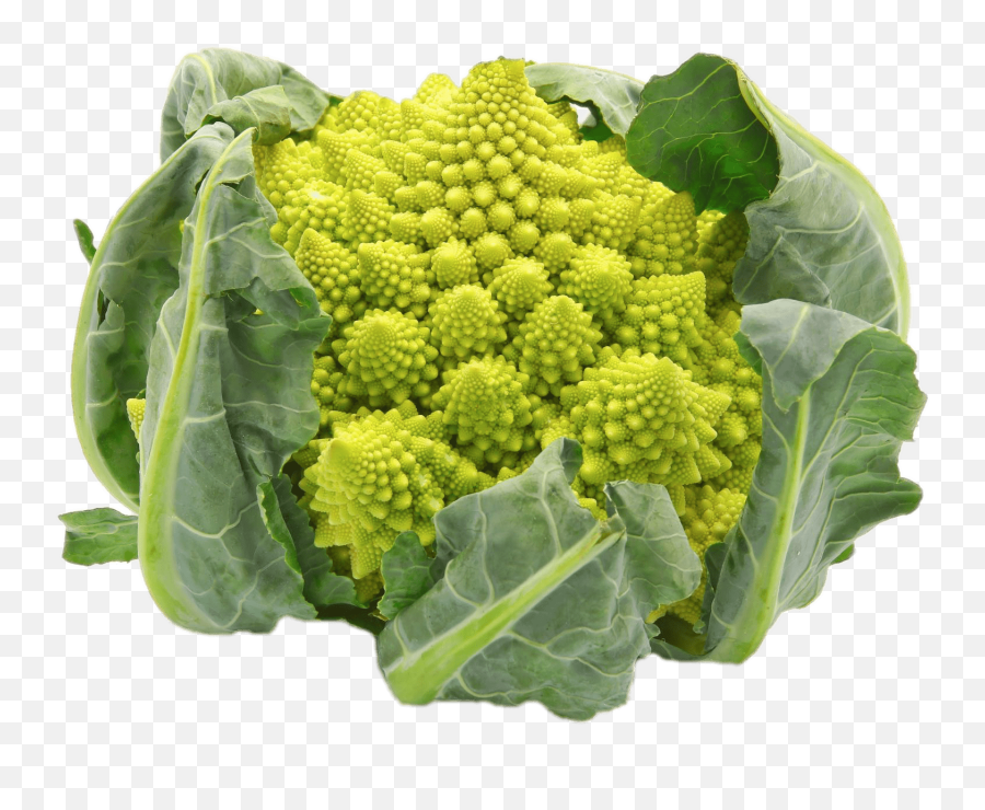 Romanesco Broccoli - Romanesco Broccoli Png,Brocoli Png