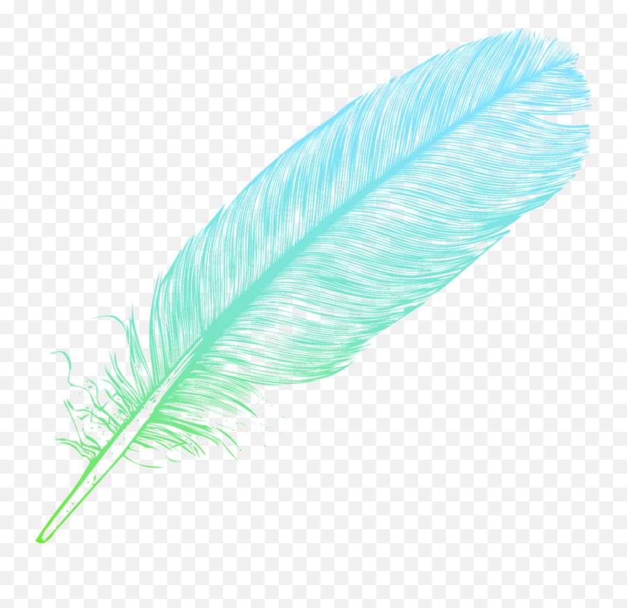 Ombre Feather Feathers Native Sticker By Candace Kee - Feather Alpha High Res Png,Feathers Transparent