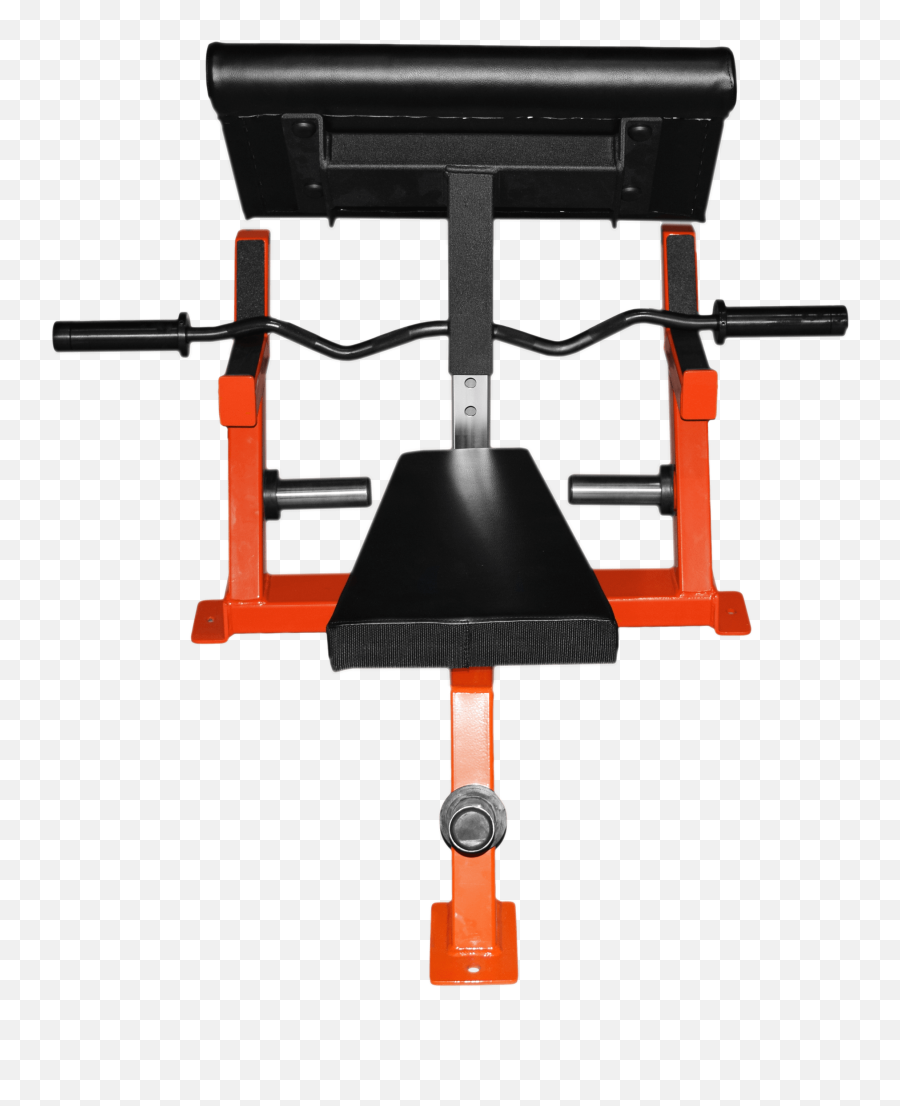 Download Seated Preacher Curl - Machine Full Size Png Gym,Preacher Png