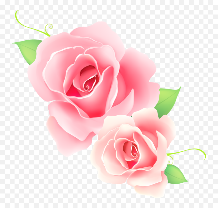 Download - Pink Rose Png Vector Png Image Happy Parents Day 26 July 2020,Pink Rose Transparent Background