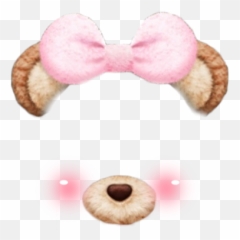 Download Bear Ears Snapchat Filter - Snapchat Filter Png Bunny