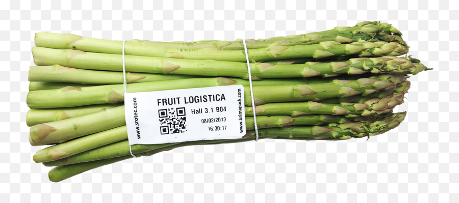 Processing - System For Asparagus Srotec Gmbh Spargel Etiketten Png,Asparagus Png