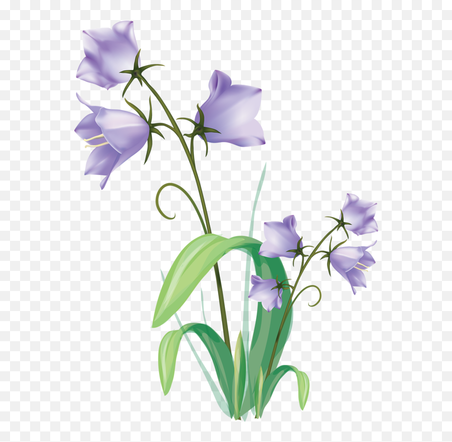 Vector Flowers Flower Clipart Plant - Transparent Plants Drawing Png,Flower Plant Png