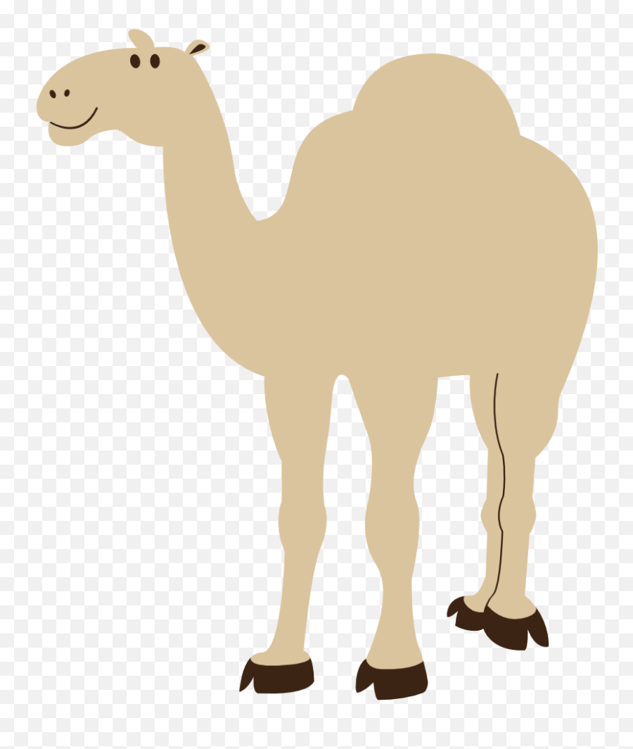 Colorful Animal Camel Geometry 999px 45 - Camel Transparent Background Clipart Png,Camel Transparent Background