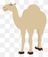 Colorful Animal Camel Geometry 999px 45 - Transparent Background Clipart png