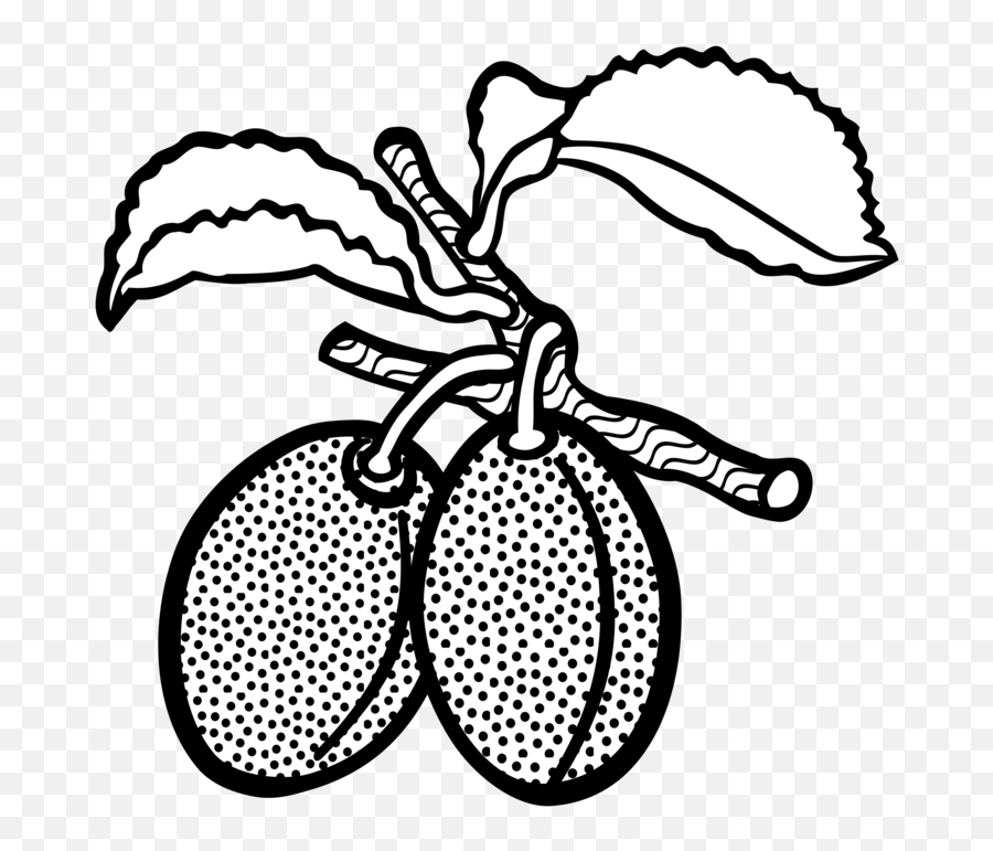 Download Line Art Plum Drawing Computer Icons Fruit - Plum Plum The Fruit Clipart Black And White Png,Plum Png