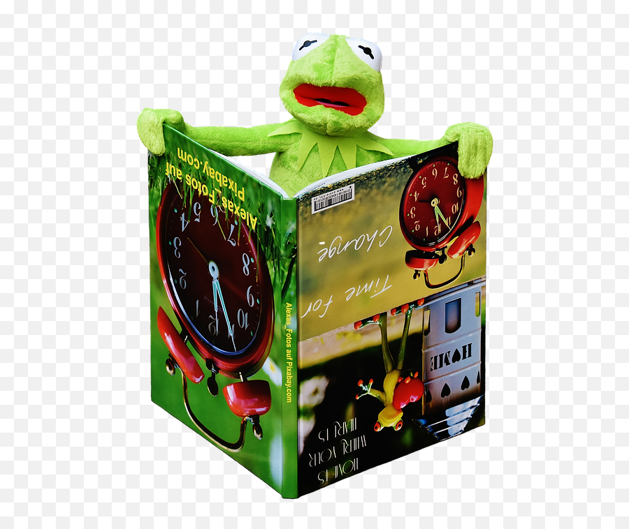 Laminated Poster Figure Sit Book Frog To Watch Kermit - Picture Book Png,Kermit The Frog Transparent