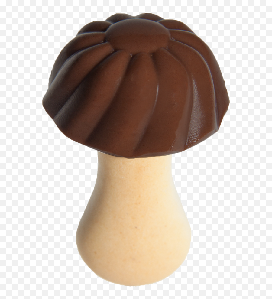 Funny Mushrooms - Chocolate Taste Cookies Agaricaceae Png,Mushroom Transparent