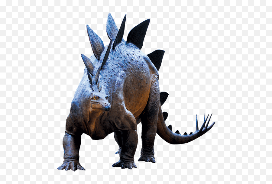 Full Size Png Image - Animal Figure,Triceratops Png
