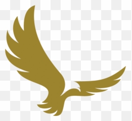 Aguila American Gold - Digital Strategy Png,Aguila Png