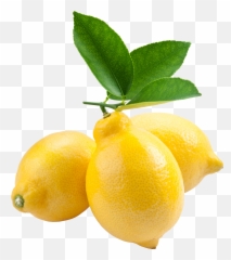 Lemon Png - Lemons With Leaves Png,Lemon Transparent Background