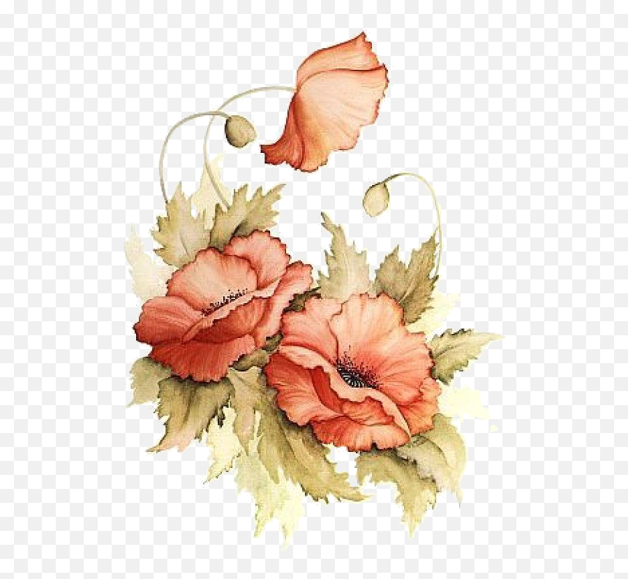 Download Hd Poppies - Painted Flowers Png Transparent Png Painted Flowers Png Transparent,Painted Flowers Png