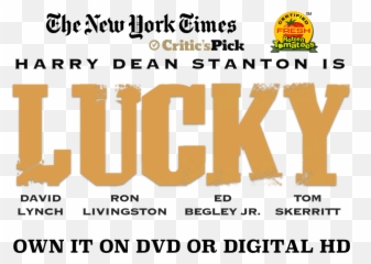 Lucky Magnolia Pictures - New York Times png