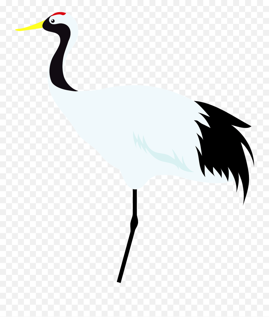 Red Png Crane Bird