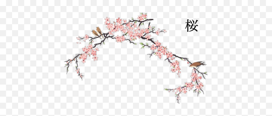 Japanese Cherry Blossom Transparent - Cherry Blossom Japanese Art Png,Cherry Blossom Branch Png