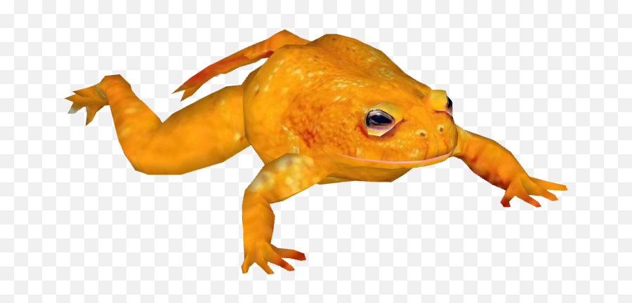 Download Posted Image - Golden Toad Png,Toad Transparent