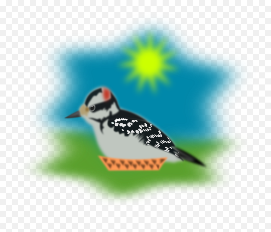 Sparrow Pecker Woodpecker - Downy Woodpecker Png,Woodpecker Icon