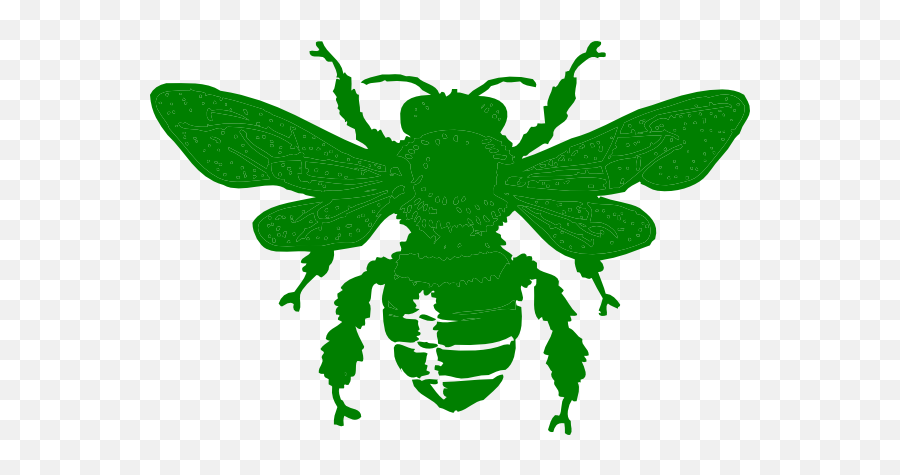 Green Bee Icon Png - Green Bee Icon,Bee Movie Icon