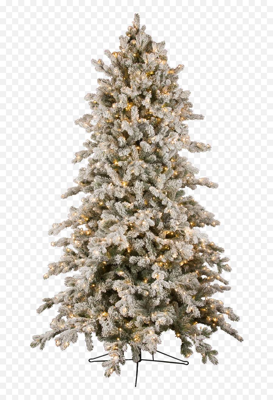 Downswept Slim Snowy Douglas Fir Tree - Flocked Christmas Tree Png,Snowy Trees Png