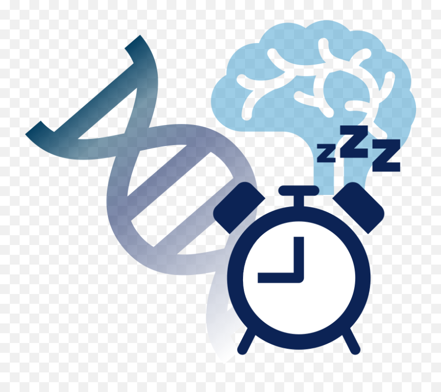 Sleep And Biological Rhythms The Douglas Research Centre - Cockfosters Tube Station Png,Icon For Sleep