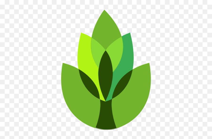 Gardenanswers Plant Identifier - Apps On Google Play Garden Plant Plant Identifier Png,What Icon Answers