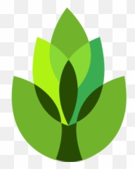 Gardenanswers Plant Identifier - Apps On Google Play Garden Plant Plant Identifier Png,What Icon Answers