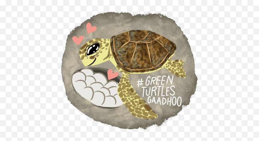 Green Turtle Sea Sticker - Green Turtle Sea Turtle Tortoise Png,Sea Turtle Icon