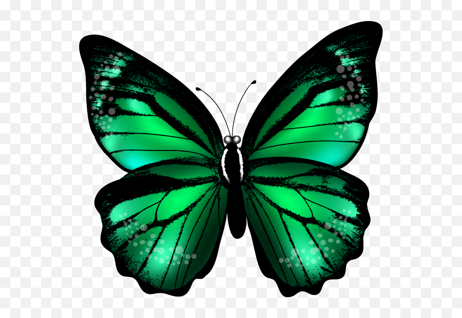 Download Abstract Purple Butterfly - Transparent Green Butterfly Png,Purple Butterfly Png