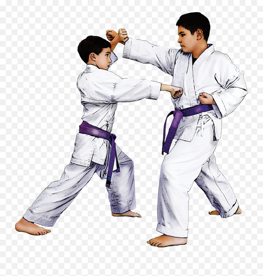 Indian Martial Arts - Karate Png,Martial Arts Png