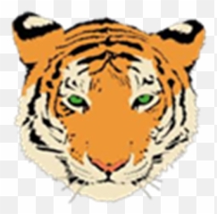 Lu - White Tiger Face Clipart png