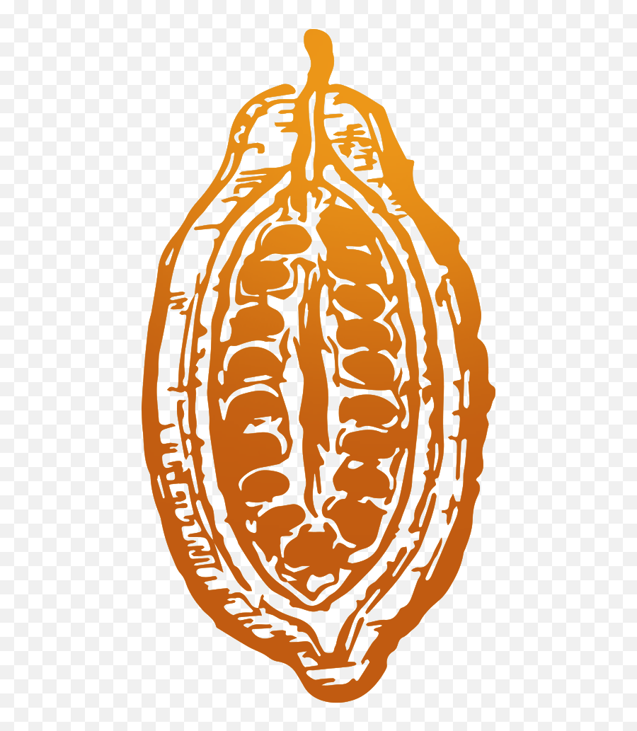 Download Cocoa - Clip Art Png,Cacao Png