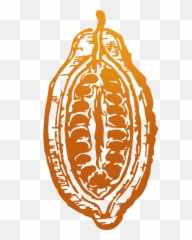 Download Cocoa - Clip Art Png,Cacao Png