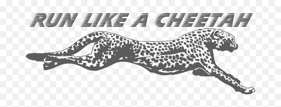 Download Free Png Running Cheetah Transparent Images - Dlpngcom Run Like A Cheetah,Cheetah Logo