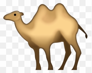 Camels Clipart File - Emoji Png