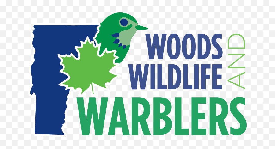 Woods Wildlife And Warblers Project Audubon Vermont - Kaibo Restaurant Beach Bar Marina Png,Into The Woods Logos