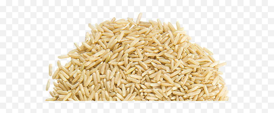 Rice Grains Png 5 Image - Rice Png,Grains Png