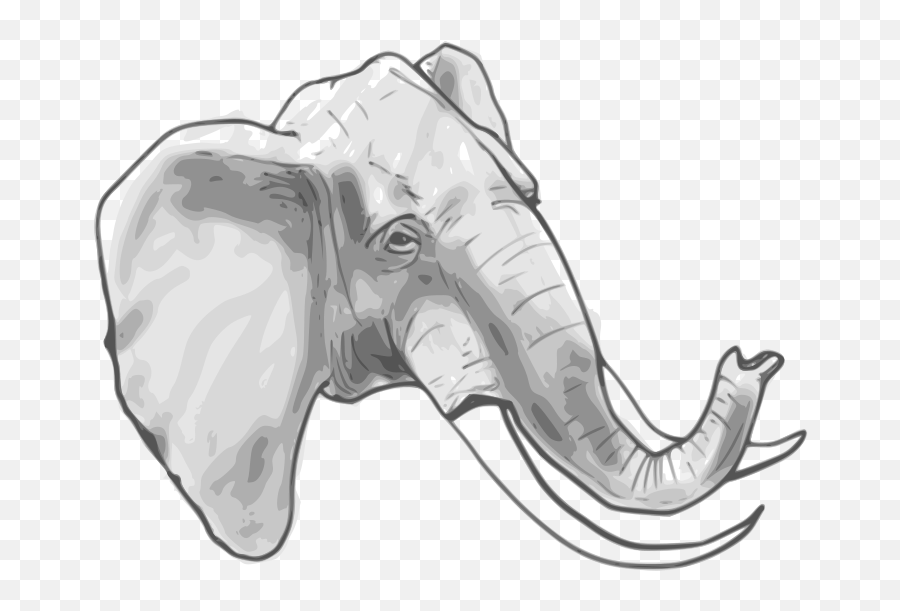 Elephant Head Png - Transparent Background Elephant Head Png,Elephant Head Png