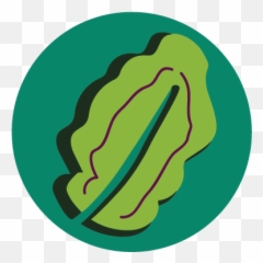 Order Chick - Language png