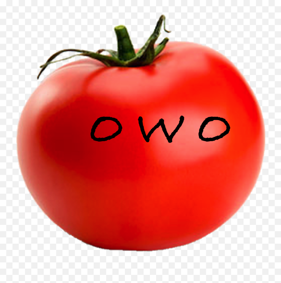 Download Hd Owo Tomato - Vegetable On Transparent Background Png,Owo Png