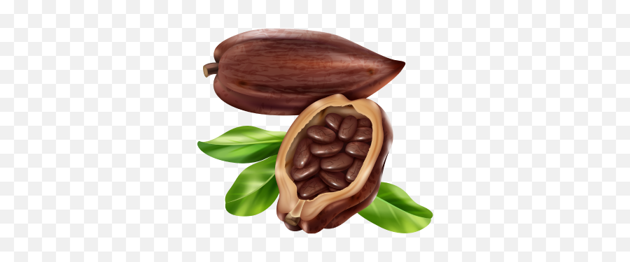 Arizona Sun Brew Coffee - Sedona Blend Pods Shop Arizona Cocoa Beans Clipart Png,Chocolate Bean Icon