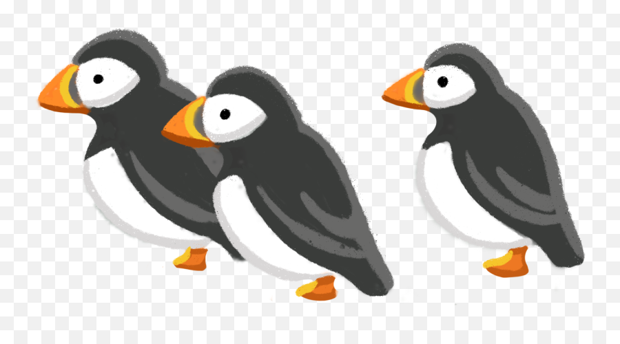 About - Atlantic Puffin Png,Puffin Icon