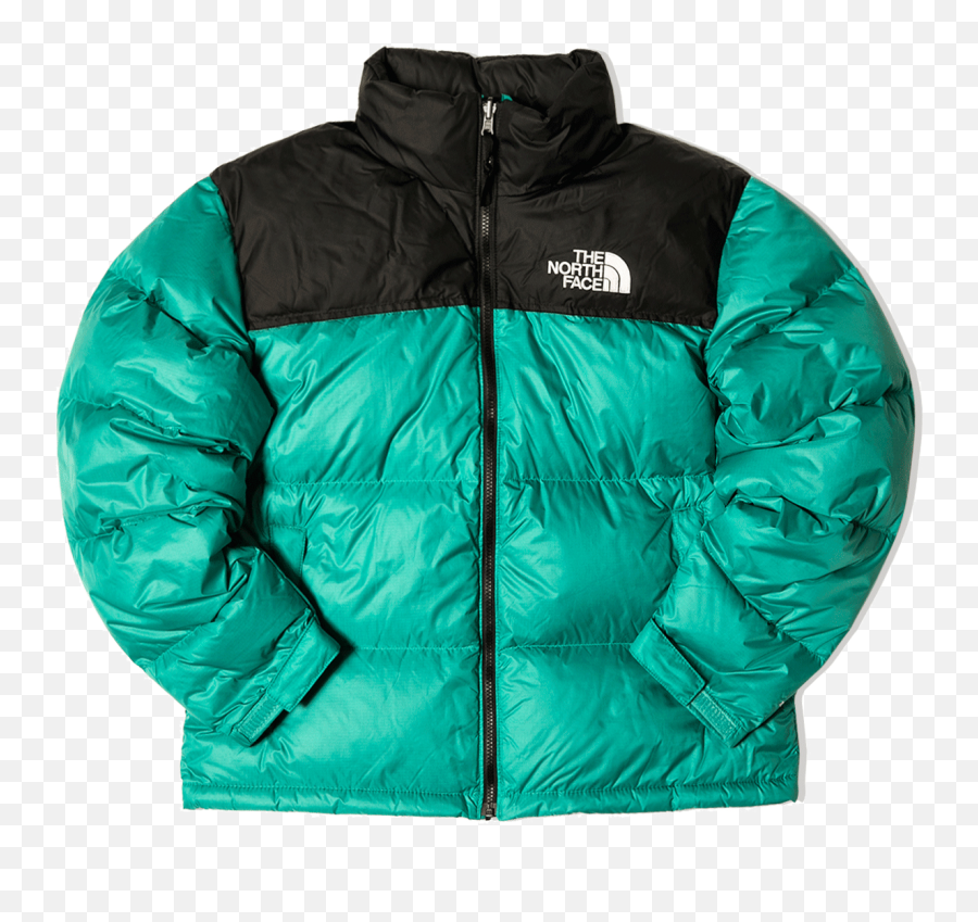 The North Face 1994 Retro Himalayan Futurelight Parka - Hooded Png,Icon Retro Daytona Leather Jacket