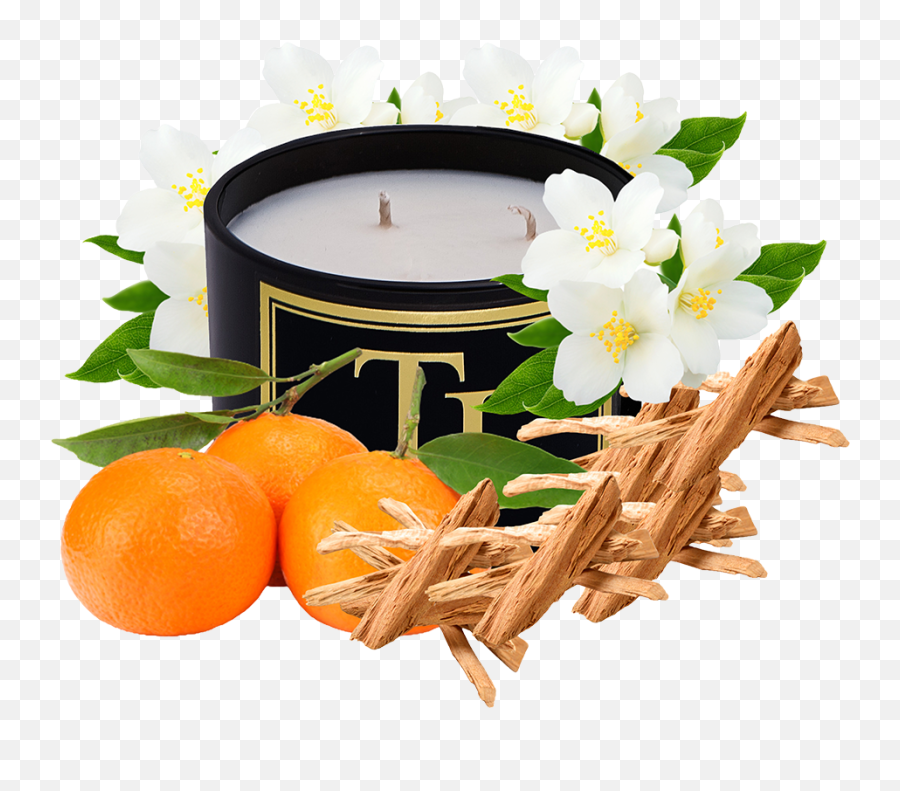 Monastery Candle Woody Spice - Scented Soy Candle By Tobi Fresh Png,Monastery Icon
