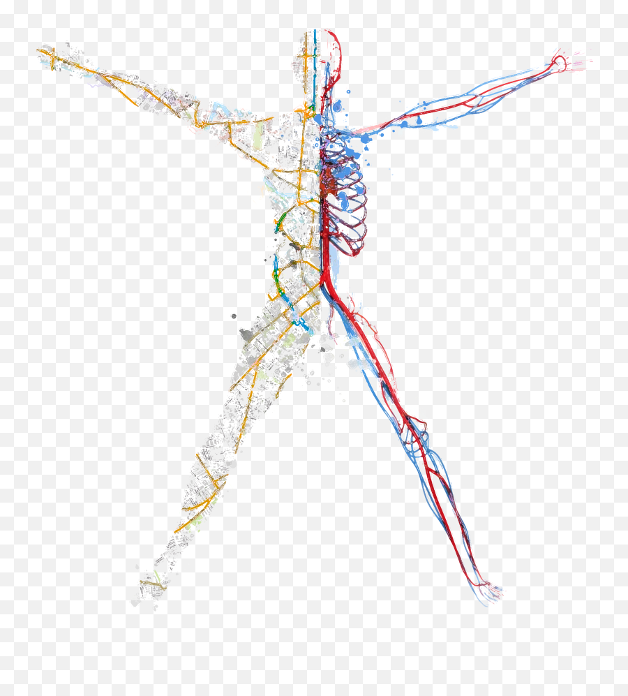 Village Heart U0026 Vein U2013 Comprehensive Adult Cardiology - Dot Png,Vitruvian Man Icon