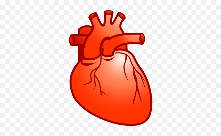 Cardio Drug Interaction Apk 10 - Download Apk Latest Version Real Heart Clip Art Png,Interaction Icon