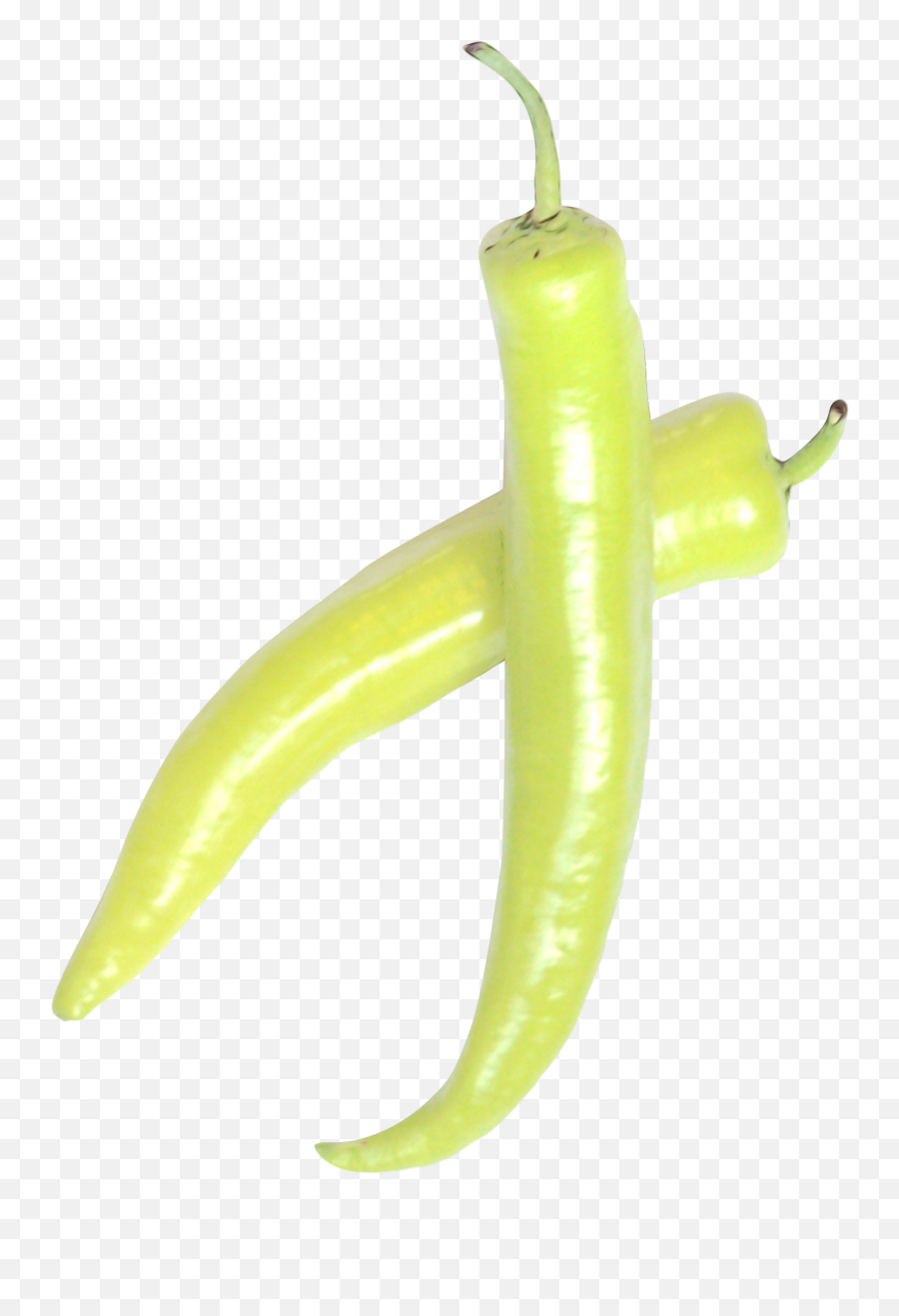 The Hottest Peppers In World By Pepper Johnnyu0027s Png Hot Icon