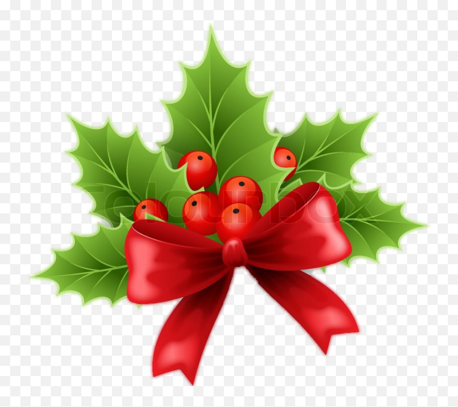 Christmas Holly Berries - Transparent Christmas Holly Vector Png,Christmas Holly Png
