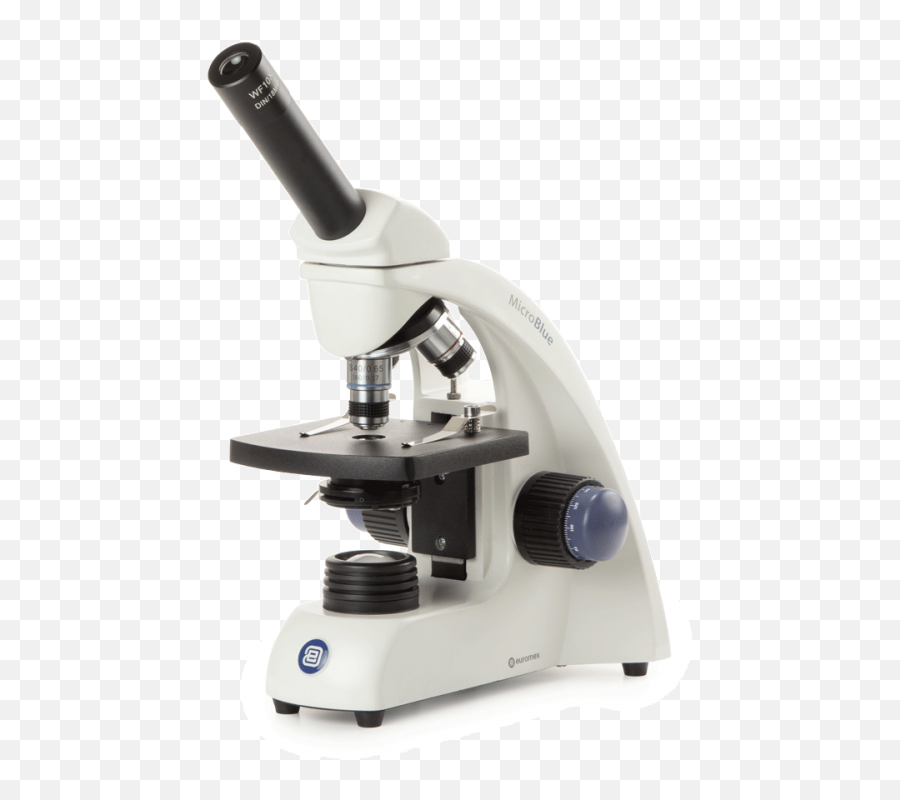 Education - Euromex Microscope Png,Microscope Transparent Background